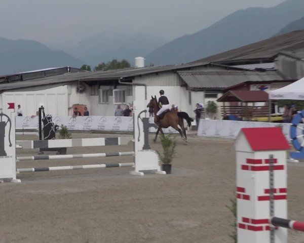 Reitturnier Giubiasco 2024