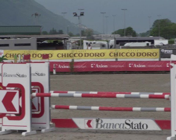 Reitturnier Giubiasco 2024