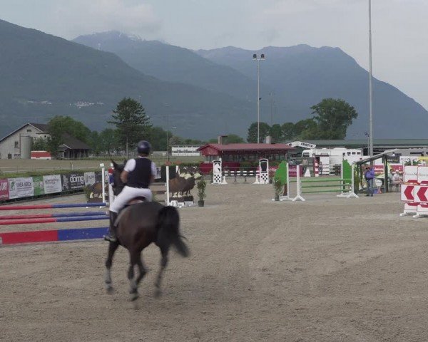 Reitturnier Giubiasco 2024