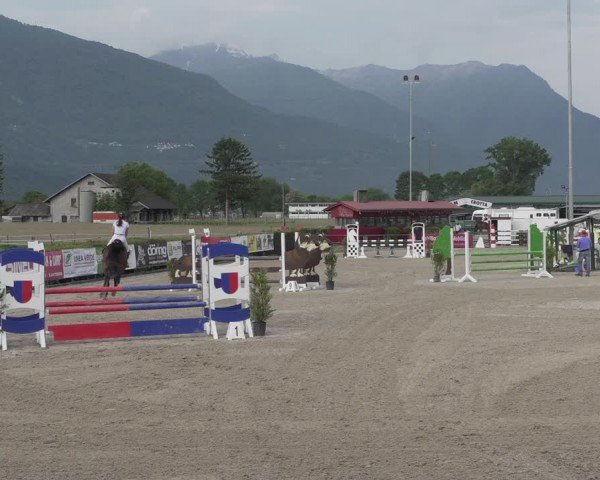 Reitturnier Giubiasco 2024