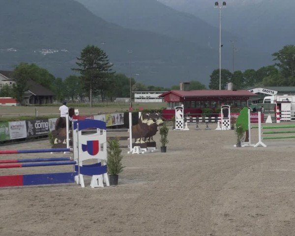 Reitturnier Giubiasco 2024