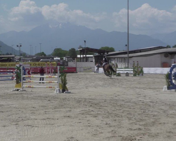 Reitturnier Giubiasco 2024