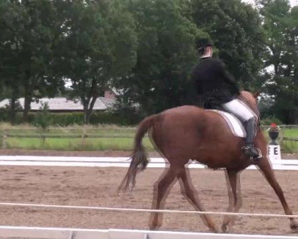 Weser Ems Meisterschaften Cloppenburg 2012