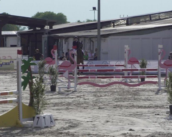 Reitturnier Giubiasco 2024