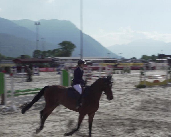 Reitturnier Giubiasco 2024