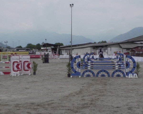 Reitturnier Giubiasco 2024