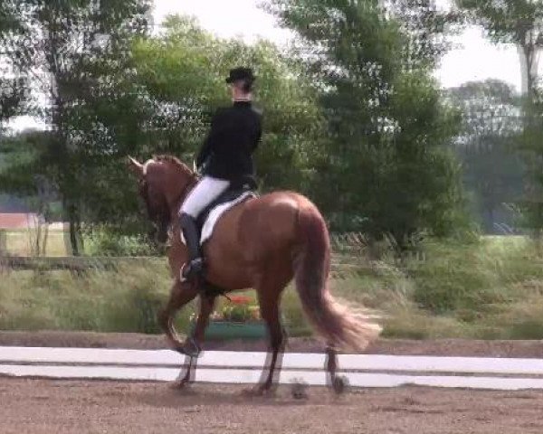 Weser Ems Meisterschaften Cloppenburg 2012