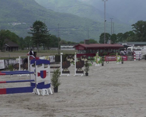 Reitturnier Giubiasco 2024