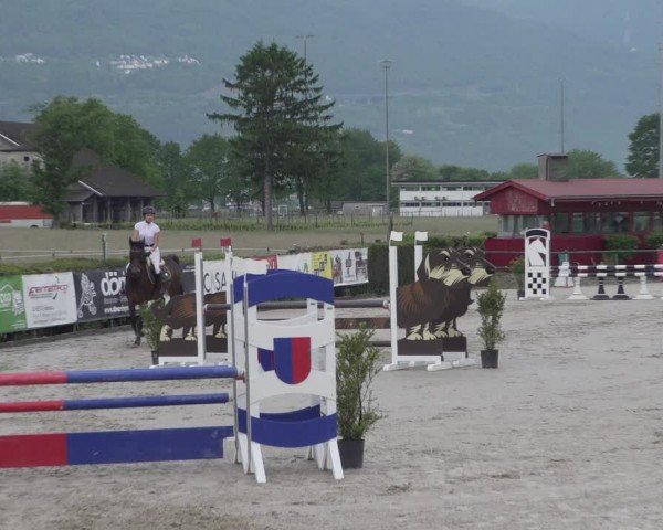 Reitturnier Giubiasco 2024