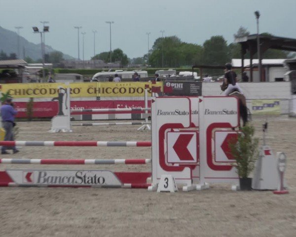 Reitturnier Giubiasco 2024