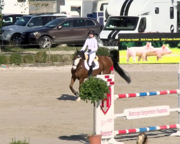 Basler Pferdesporttage Schänzli 2021