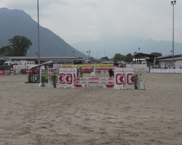 Reitturnier Giubiasco 2024