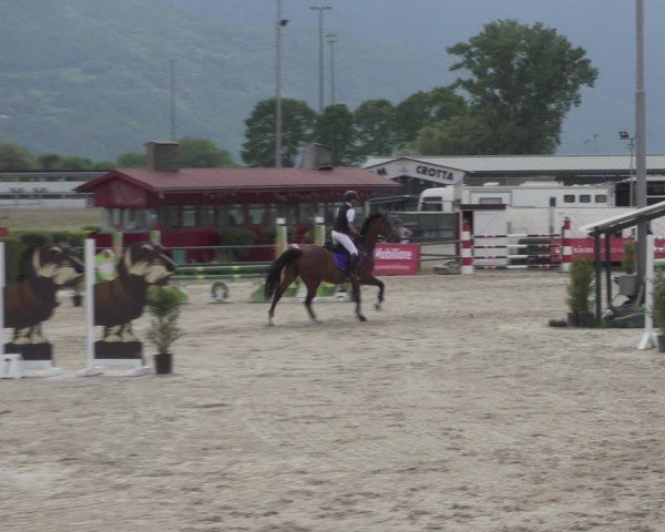 Reitturnier Giubiasco 2024
