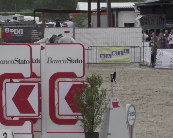 Reitturnier Giubiasco 2024