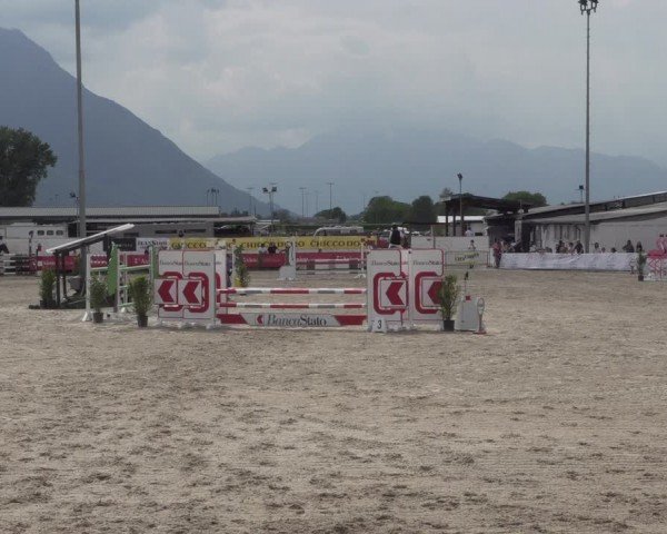 Reitturnier Giubiasco 2024