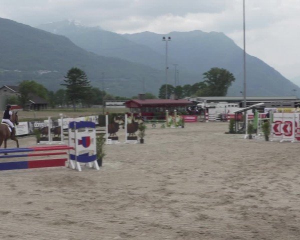 Reitturnier Giubiasco 2024