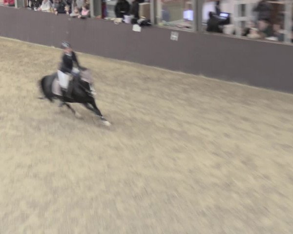 23. Legdener Ponymeeting 2021