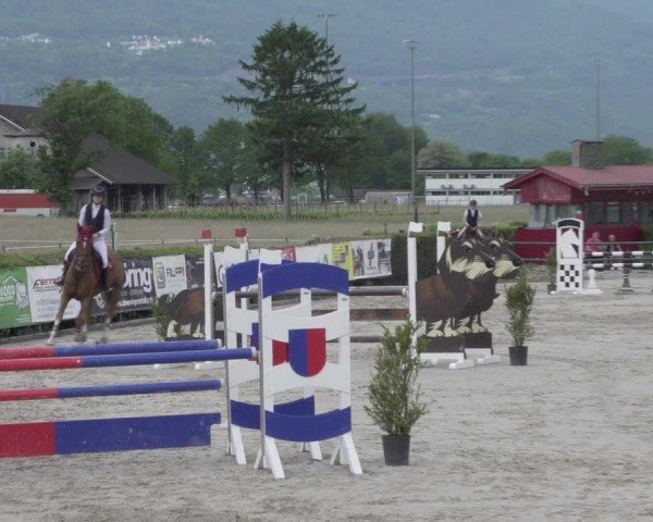 Reitturnier Giubiasco 2024