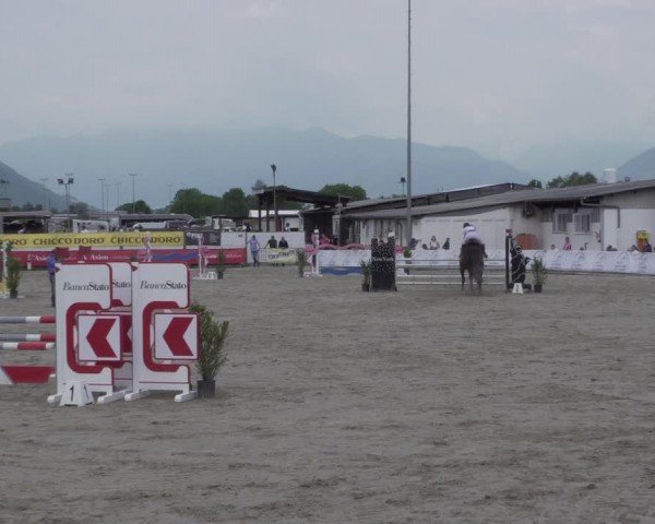 Reitturnier Giubiasco 2024