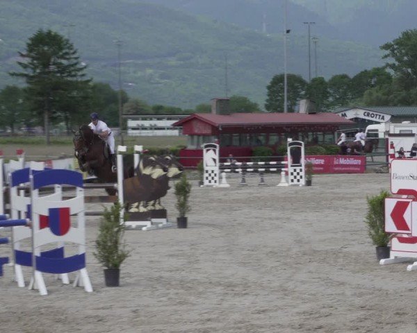 Reitturnier Giubiasco 2024