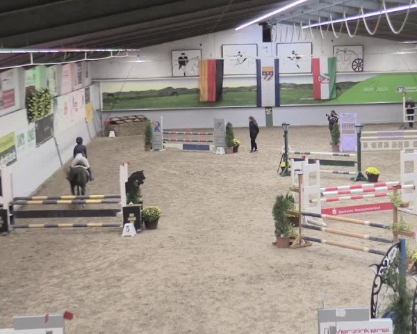 23. Legdener Ponymeeting 2021
