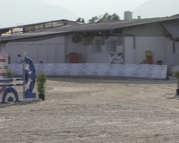 Reitturnier Giubiasco 2024