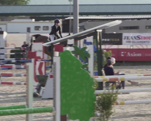 Reitturnier Giubiasco 2024