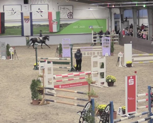 23. Legdener Ponymeeting 2021