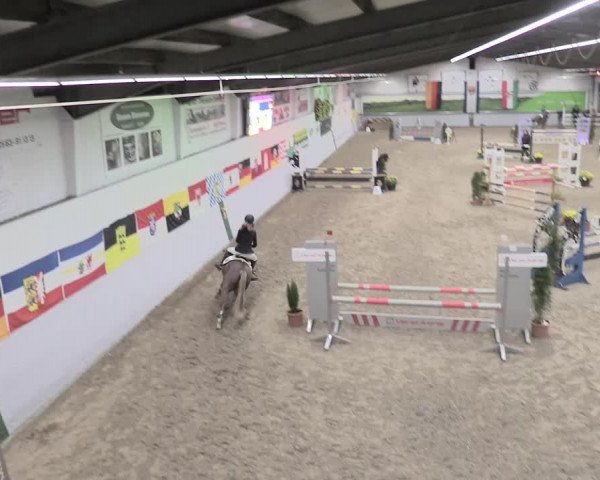 23. Legdener Ponymeeting 2021