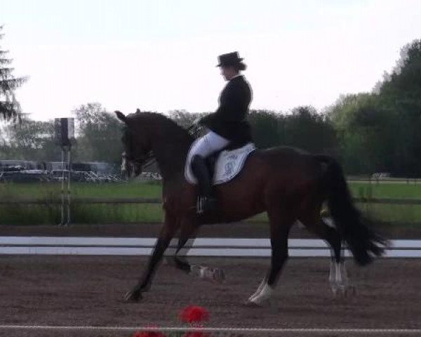Weser Ems Meisterschaften Cloppenburg 2012