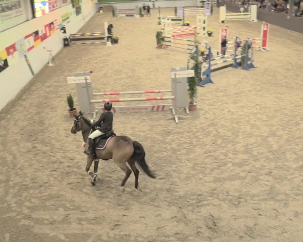 23. Legdener Ponymeeting 2021