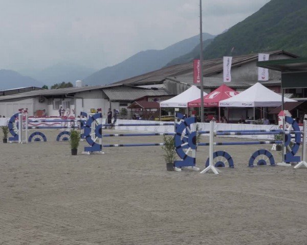 Reitturnier Giubiasco 2024