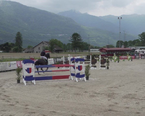 Reitturnier Giubiasco 2024