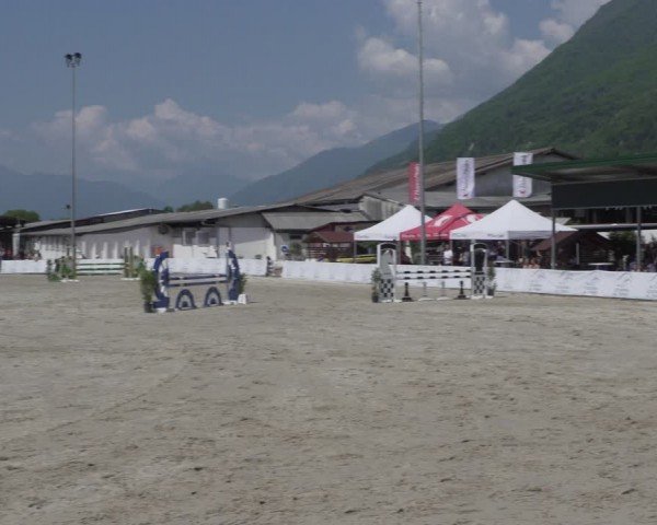 Reitturnier Giubiasco 2024