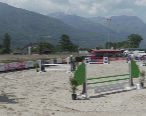 Reitturnier Giubiasco 2024