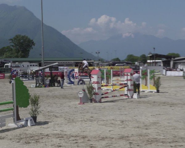 Reitturnier Giubiasco 2024