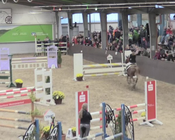 23. Legdener Ponymeeting 2021