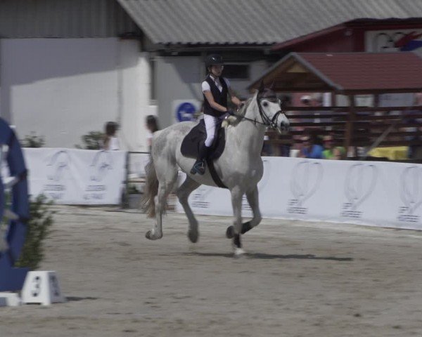 Reitturnier Giubiasco 2024