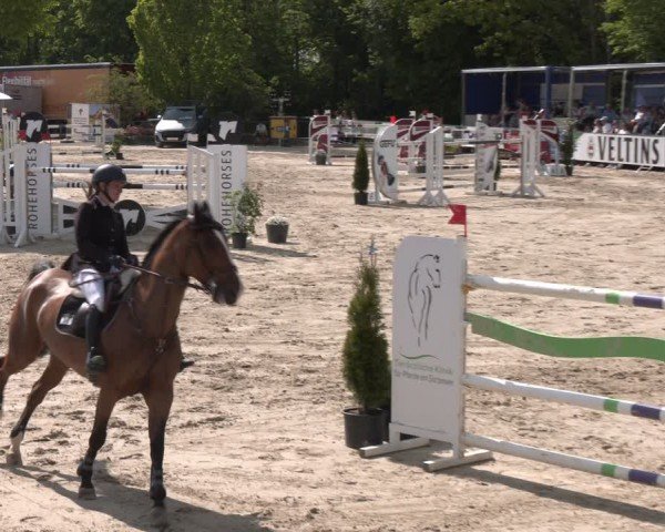 Reitturnier Hellefeld 2024