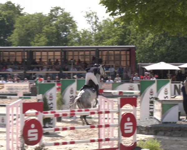 Reitturnier Hellefeld 2024