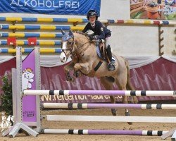 jumper Oudeland's Floris (New Forest Pony, 2002, from Berghof's Higgledy Piggledy)