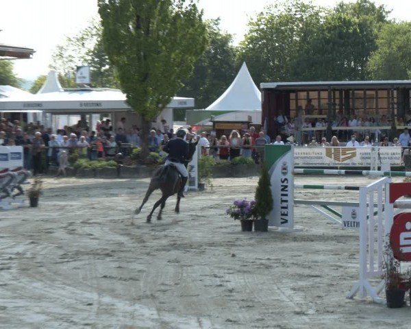 Reitturnier Hellefeld 2024