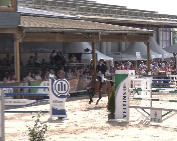 Reitturnier Hellefeld 2024