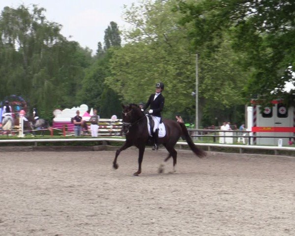 Reitturnier Hamm-Rhynern 2024