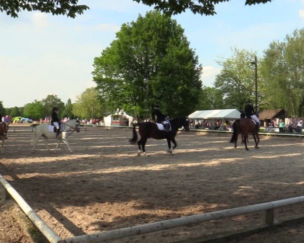 Reitturnier Hamm-Rhynern 2024