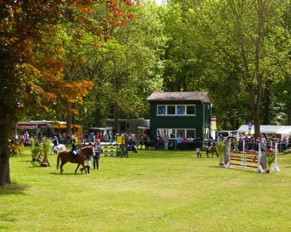 Reitturnier Helmsdorf 2024