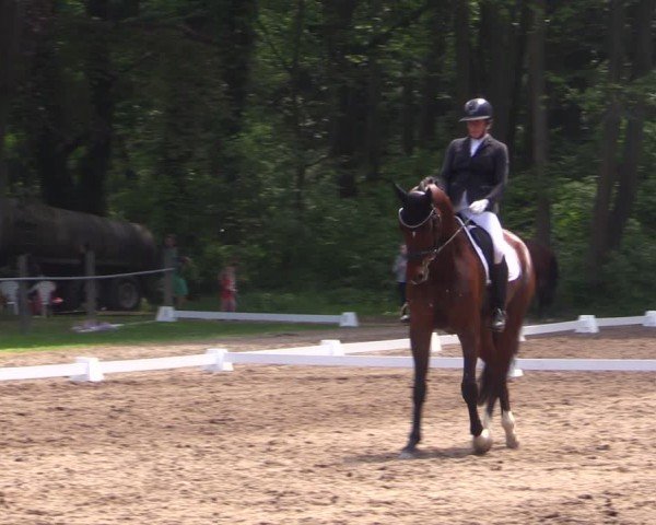 Reitturnier Helmsdorf 2024