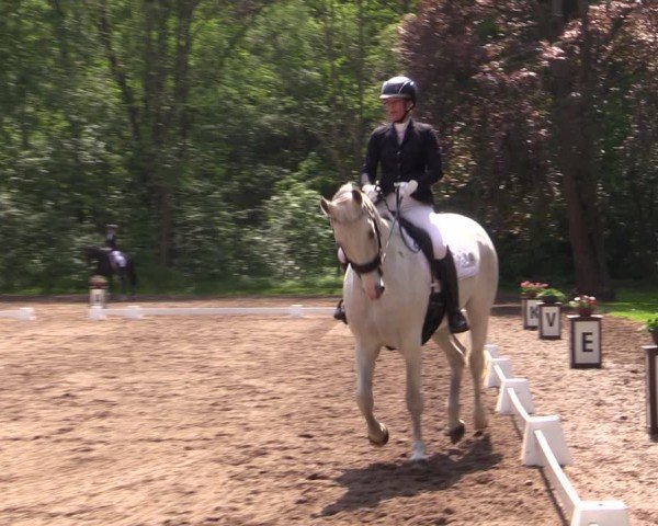 Reitturnier Helmsdorf 2024