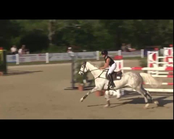 Reitturnier Öpfingen 2024