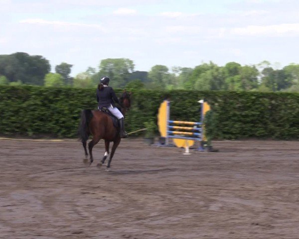 Reitturnier Lentzke - Reitanlage Krehl 2024